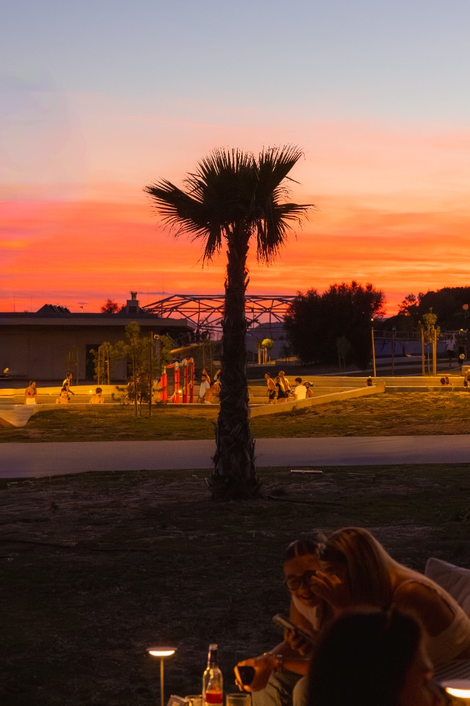 Palm silhouette against a fiery sunset, Žnjan beach